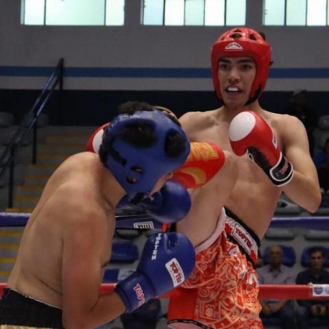 Panamericano Junior de Kickboxing Guatemala 2025