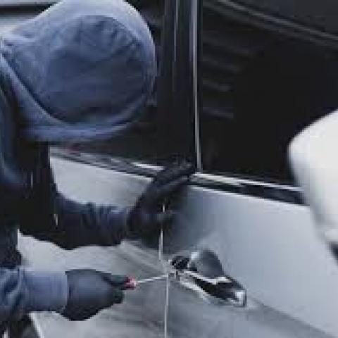 ladrón de autos