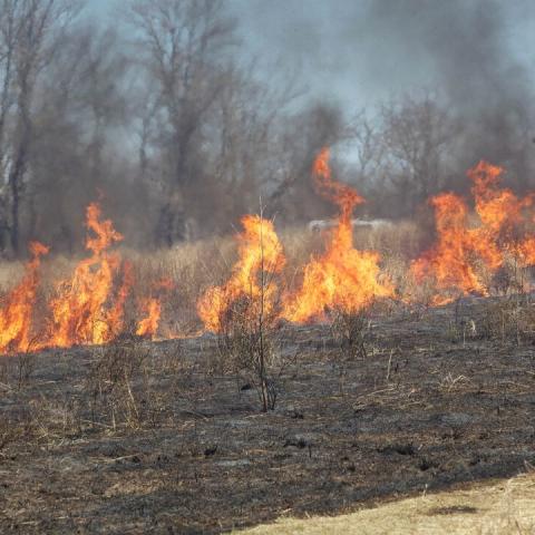 Incendios incrementaron hasta en 63% durante navidad; autoridades prevén alza para fin de año
