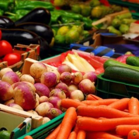 Productos agropecuarios