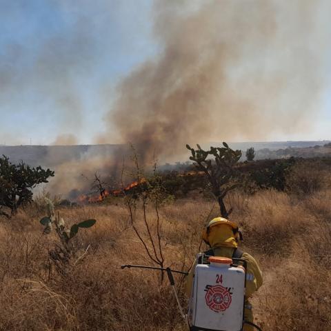 Campaña de prevención