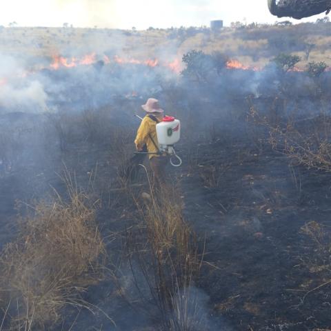 “Fueron 4 incendios simultáneos, una persona en motocicleta es la que prende”: Vecinos de El Malacate reportan quema de 115 hectáreas