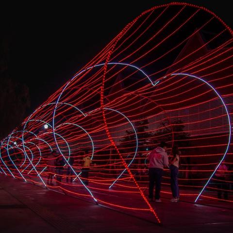 ¡Solteros y enamorados! Ya comenzaron las actividades de "En Vías del Amor"