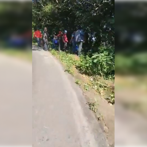 Caída de autobús en Veracruz