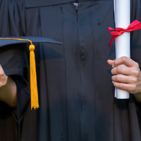 Titulación universitaria