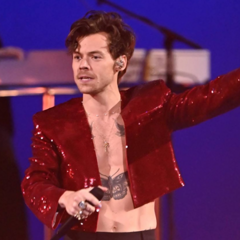 Harry Styles apoyará a la música independiente con donación de su gira