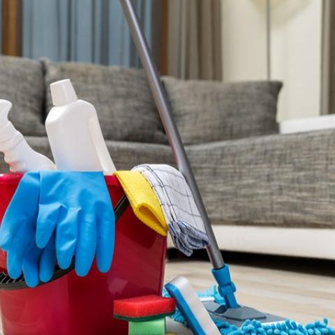 Trabajadoras del hogar