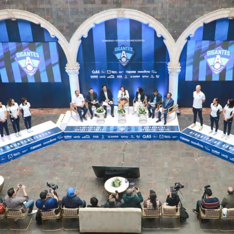 GIGANTES DE AGUASCALIENTES 