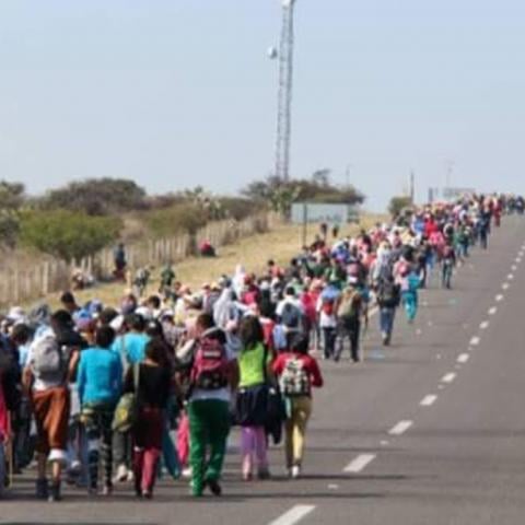 Peregrinación a San Juan de los Lagos