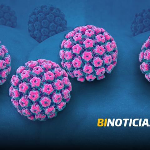 UNAM desarrolla nueva prueba para detectar el virus del papiloma humano