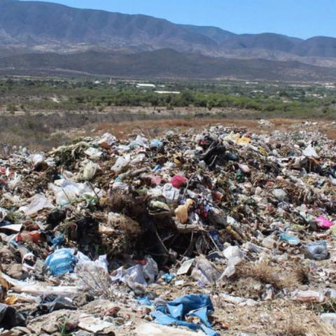 Vigilancia Ambiental