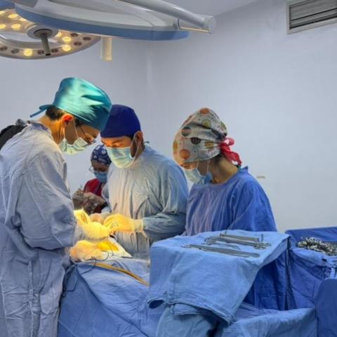 Donación multiorgánica