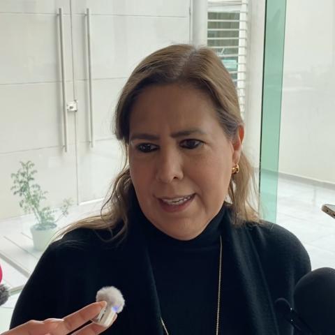 Reparación de los daños y transparencia de las autoridades: Empresarios de Aguascalientes ante Next Energy