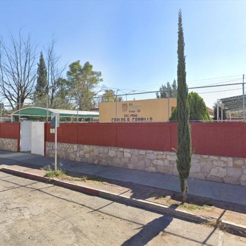 Plaga de ratones en primaria de la Gremial presuntamente enferma estudiantes; padre exigen fumigación