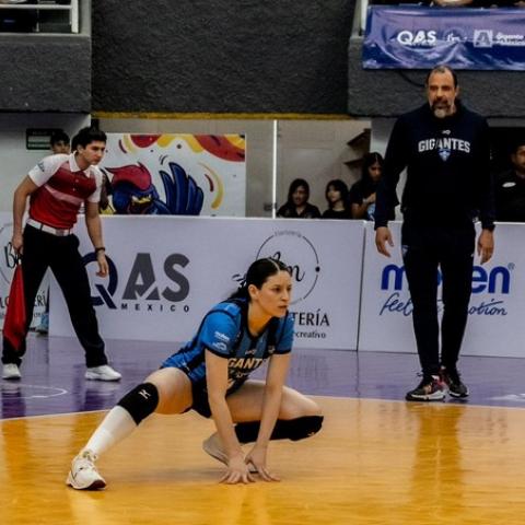 Gigantes de Aguascalientes