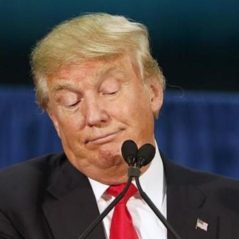 Trump sugiere invocar el Artículo 5 de la OTAN para proteger la frontera sur