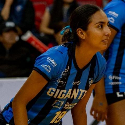 Gigantes de Aguascalientes