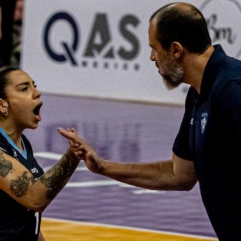 Gigantes de Aguascalientes 