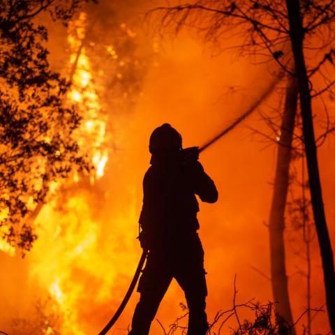 Gobierno argentino declara emergencia ígnea en provincias de la Patagonia