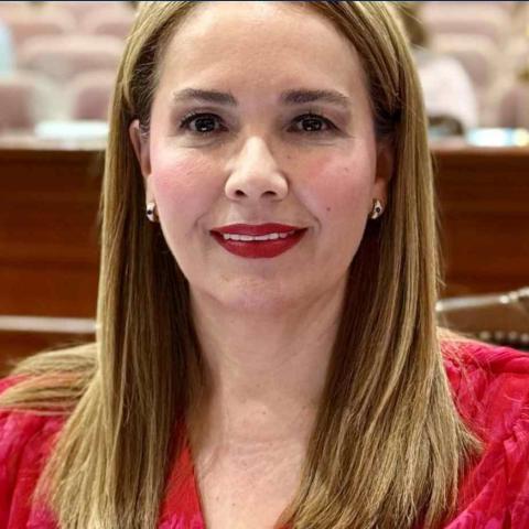 Diputada de Movimiento Ciudadano recibe alta médica tras ataque armado en Culiacán