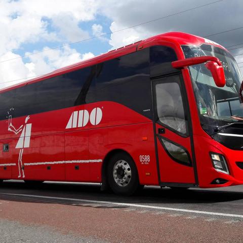 Empresas de transporte suspenden servicios ante violencia en carreteras