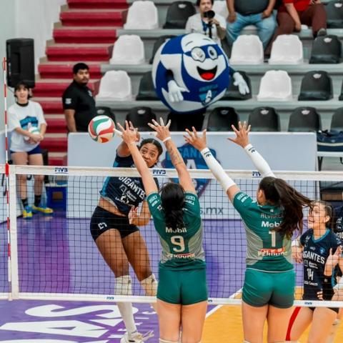 Gigantes 3-0 Leonas