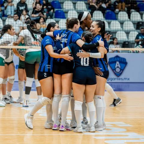 Gigantes de Aguascalientes