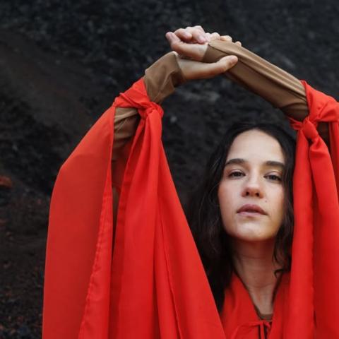 Foro del Lago de la FNSM 2026: Ximena Sariñana, Allison, Caloncho, Hello Seahorse, Caballo Dorado, Jumbo y más 