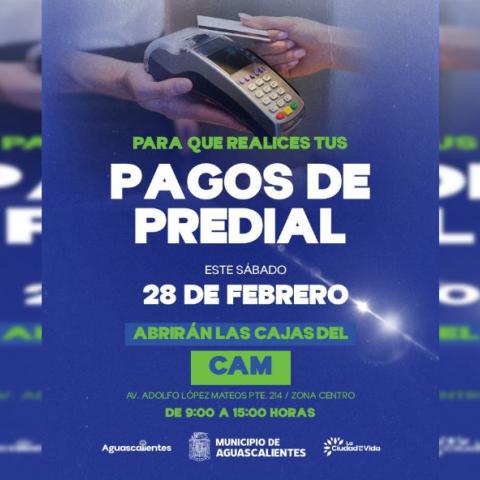 Pagos de predial 
