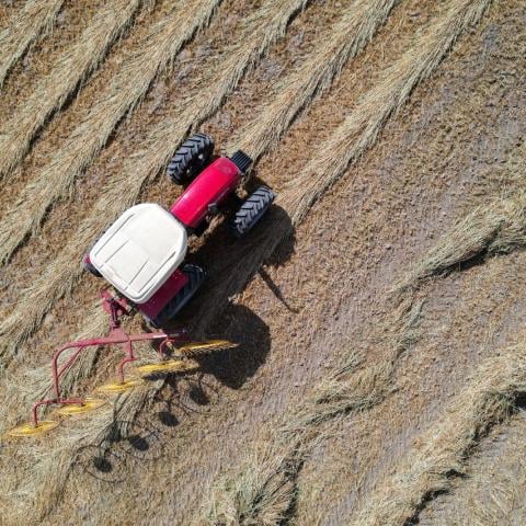 Producción agrícola