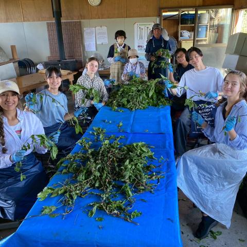 Movilidad de Aguascalientes