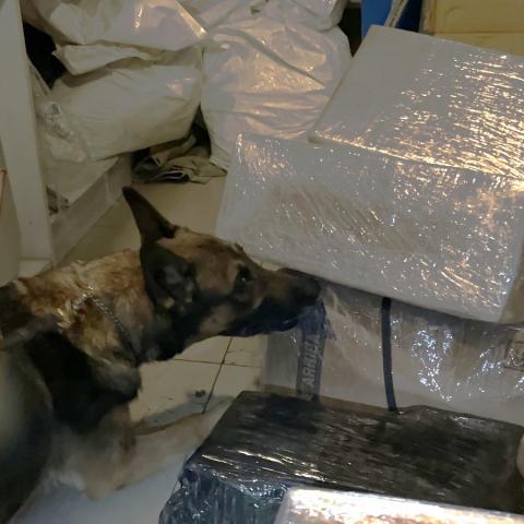 Las 9 mil pastillas psicotrópicas fueron aseguradas por la Policía Estatal y puestas a disposición de la FGR