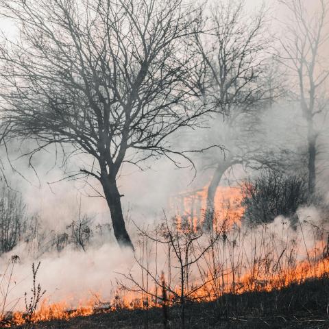 Suman más de mil incendios provocados en Aguascalientes desde octubre: Protección Civil