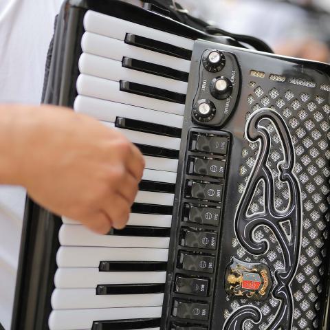 Pese artistas de corridos en Palenque, FGE garantiza FNSM libre de apología al delit