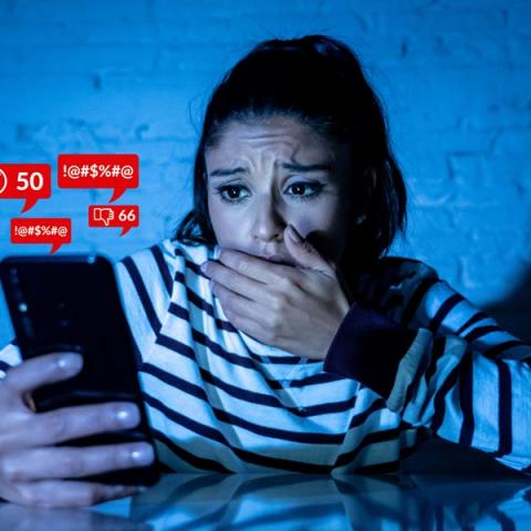 Delitos cibernéticos 