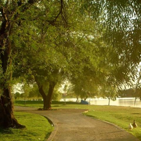 Así será el Festival Actívate en Gigante este sábado en el Parque Cedazo