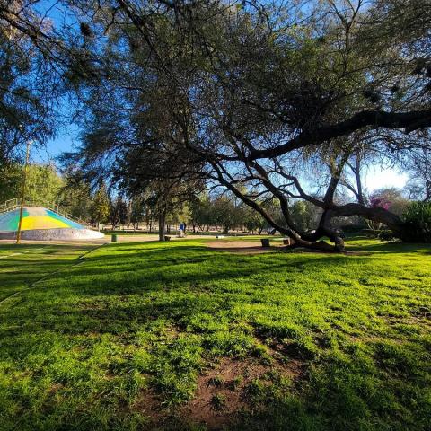 Desarrollo Especial La Pona 