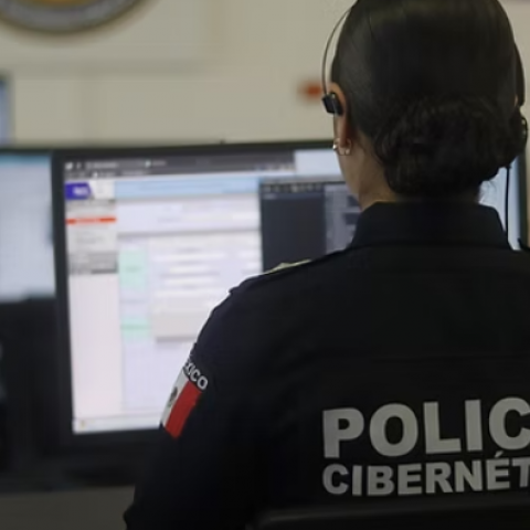 Policía cibernética 