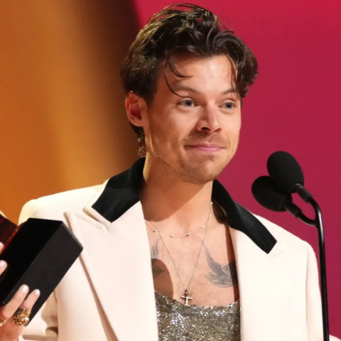 ¡Harry Styles llega a Netflix! Revelan a qué hora ver su concierto