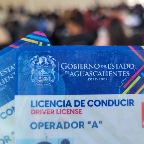 Licencias de conducir en Aguascalientes 