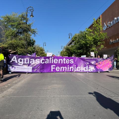 Violencia criminal alcanza a las mujeres y no hay recursos suficiente para su atención: Colectivos