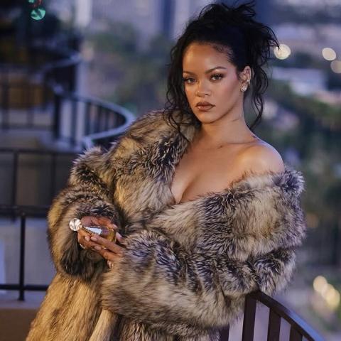 a mujer que disparó en diez ocasiones a la casa de Rihanna