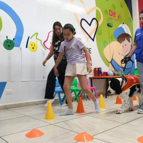 Señora Jingles, la perrita que ayuda a cambiar vidas en el DIF Estatal