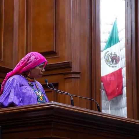 Diputada Irma Reza de la Cruz