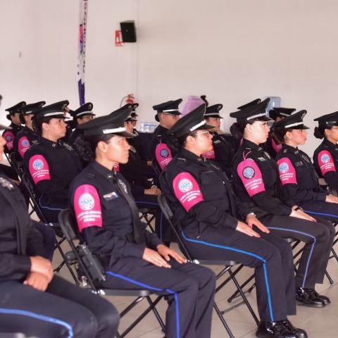 Policía Rosa 
