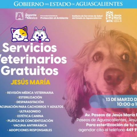 Servicios Veterinarios