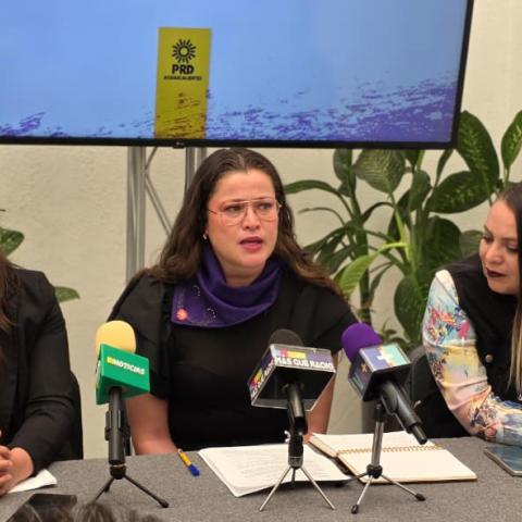 Piden perredistas que partidos políticos no participen en marcha del 8M