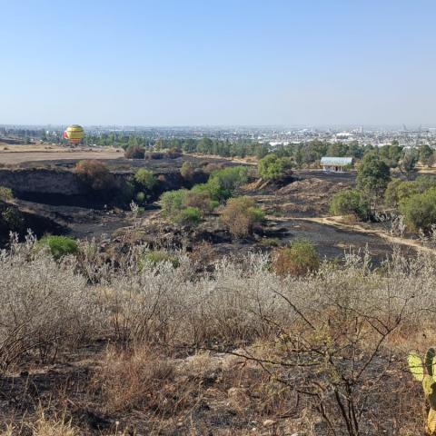 [GALERÍA] Quemas sistemáticas arrasaron con hasta 40 hectáreas del Parque México
