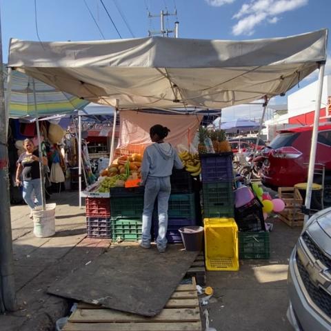 Ambulantes en el Agropecuario 