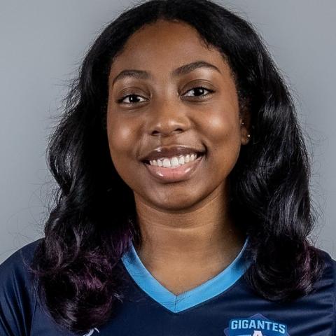 Gigantes de Aguascalientes